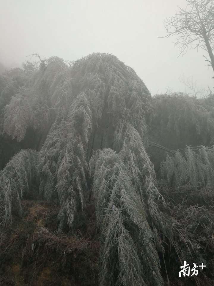 广东省乐昌市天气预报