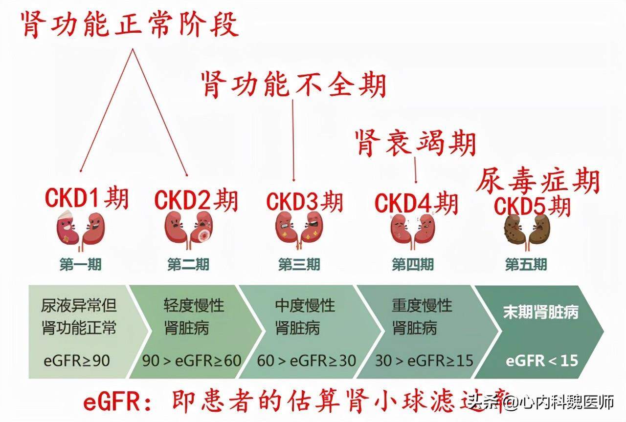 广东省肌酐治疗方法研究与应用