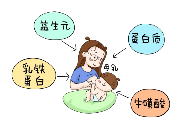 母乳喂养，孩子吃到几个月最好的探讨