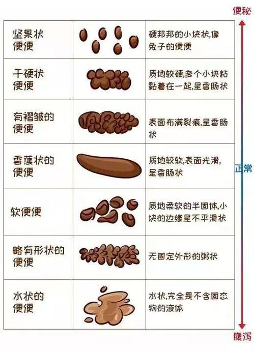 五个月大的婴儿大便次数正常的参考标准