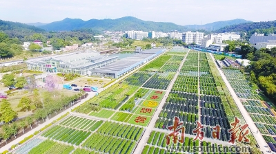 广东省种子总站，引领种子产业，助力农业现代化