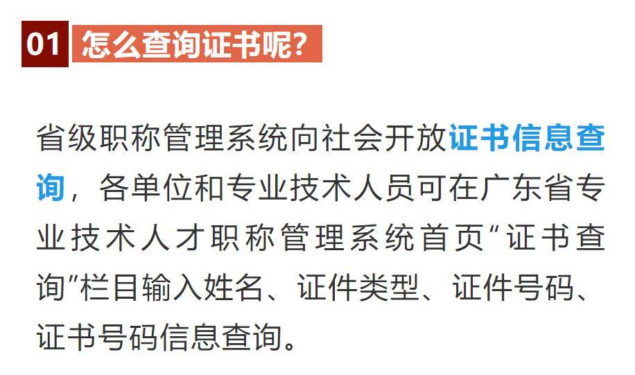 广东省资格证书查询系统及其重要性