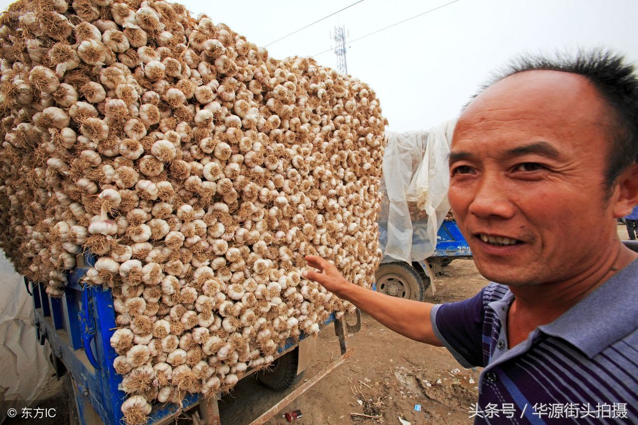 如何应对九个月大的宝宝不吃饭的问题