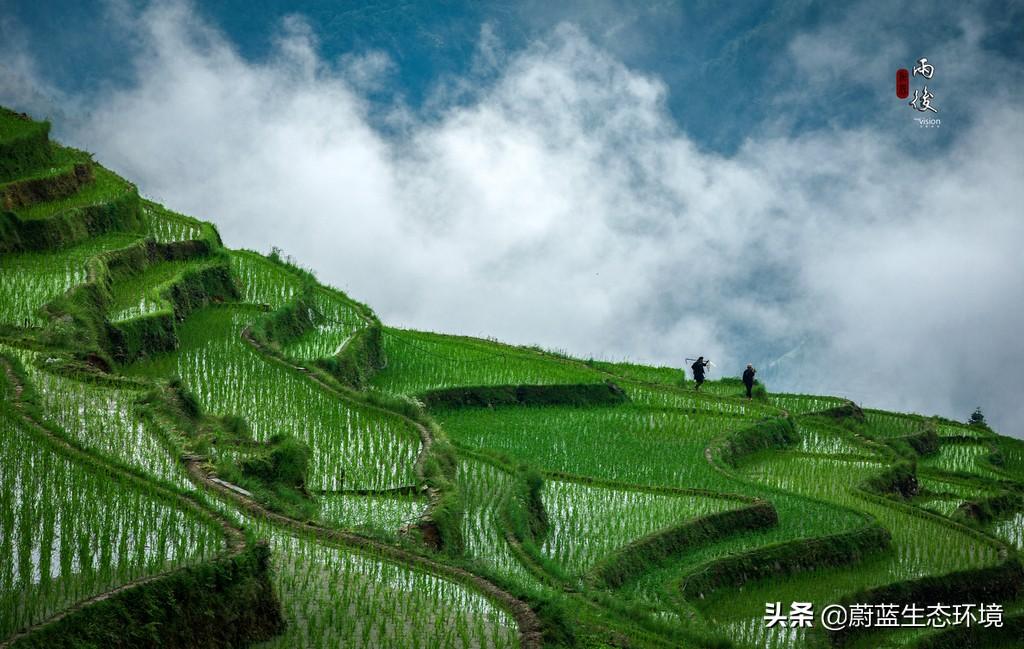 广东禾锄有限公司，耕耘今日，铸就明日辉煌