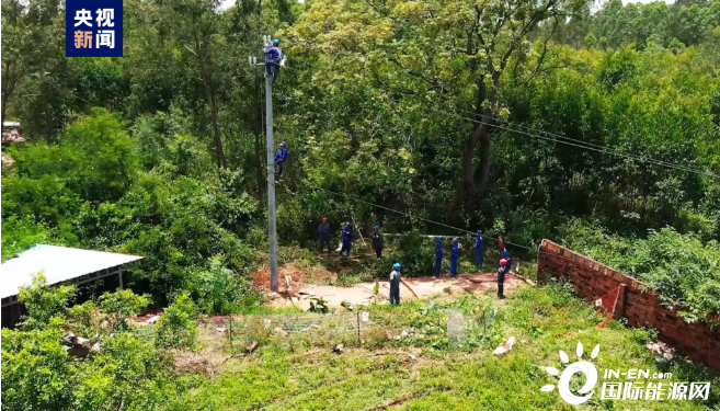 广东省森林植被恢复费的重要性及其影响