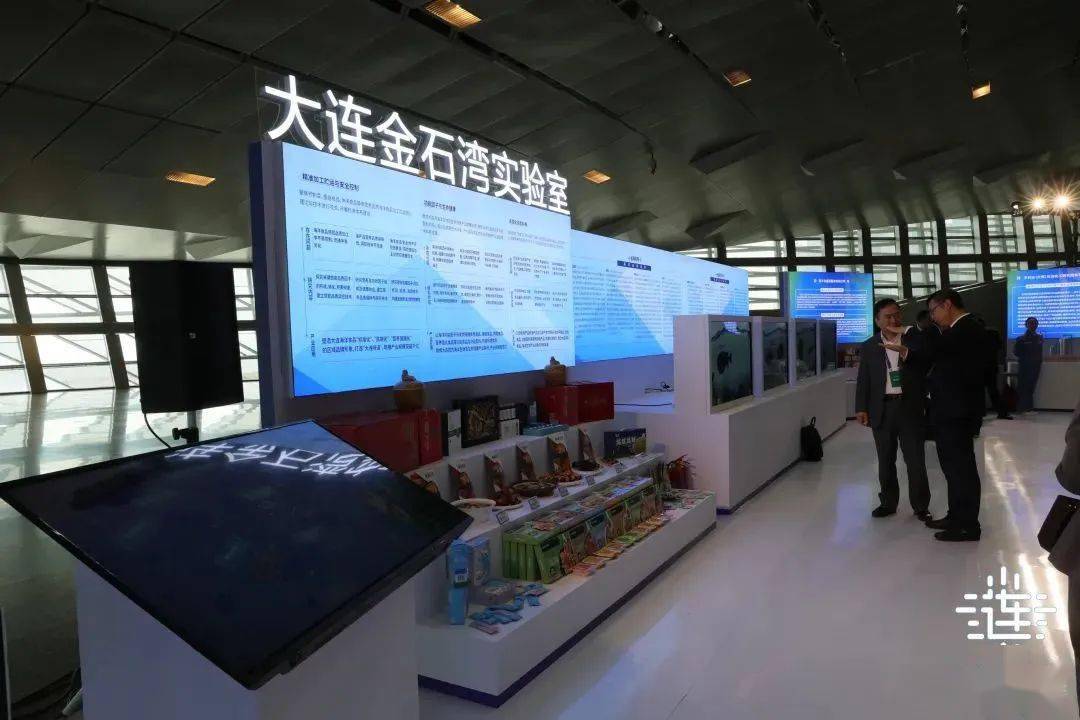 大连工业与江苏科技的协同发展，探索与启示